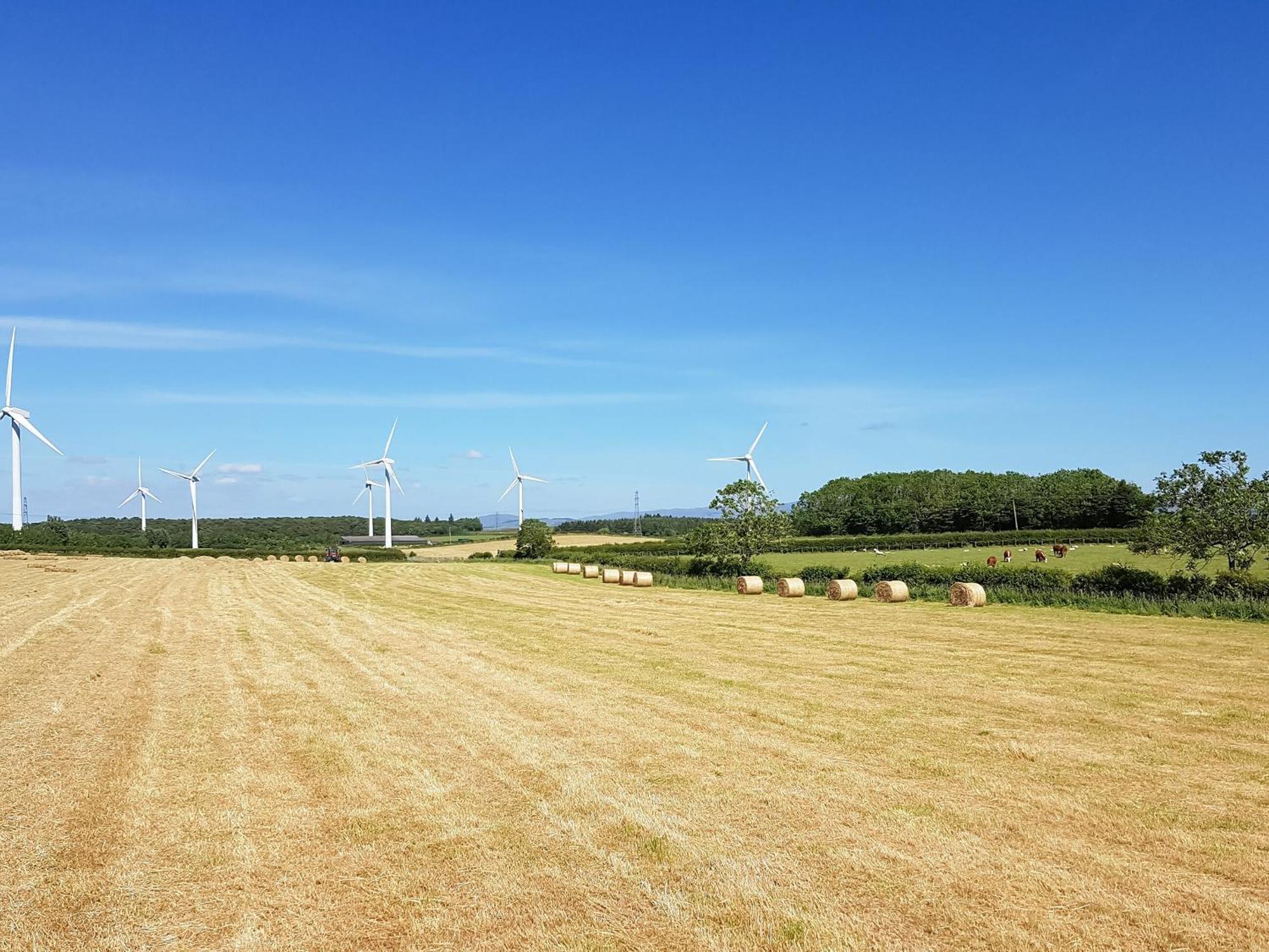 High Mains Villa Winscales Bagian luar foto